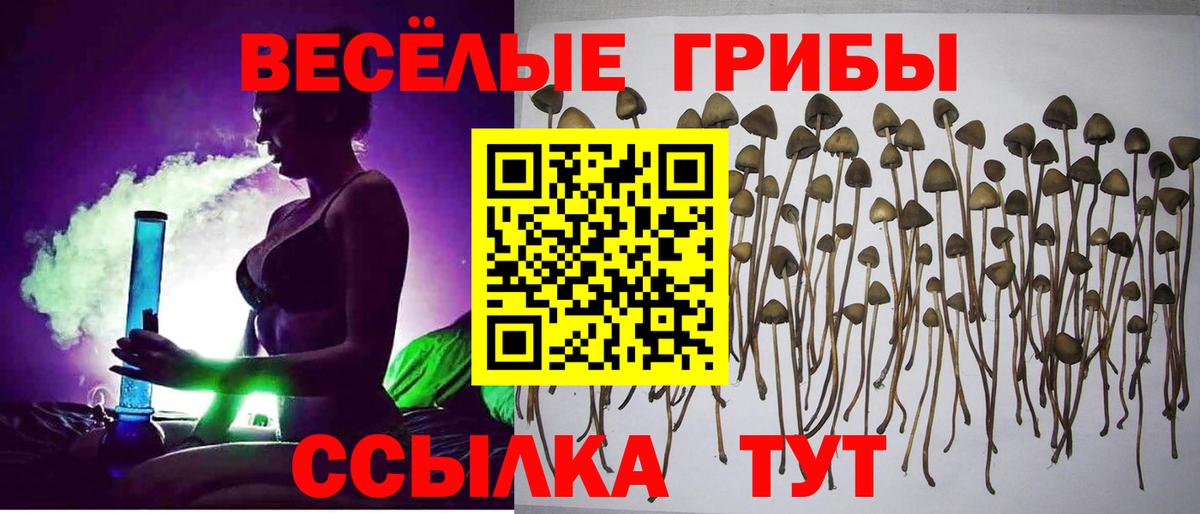 Галлюциногенные грибы GOLDEN TEACHER Бирск